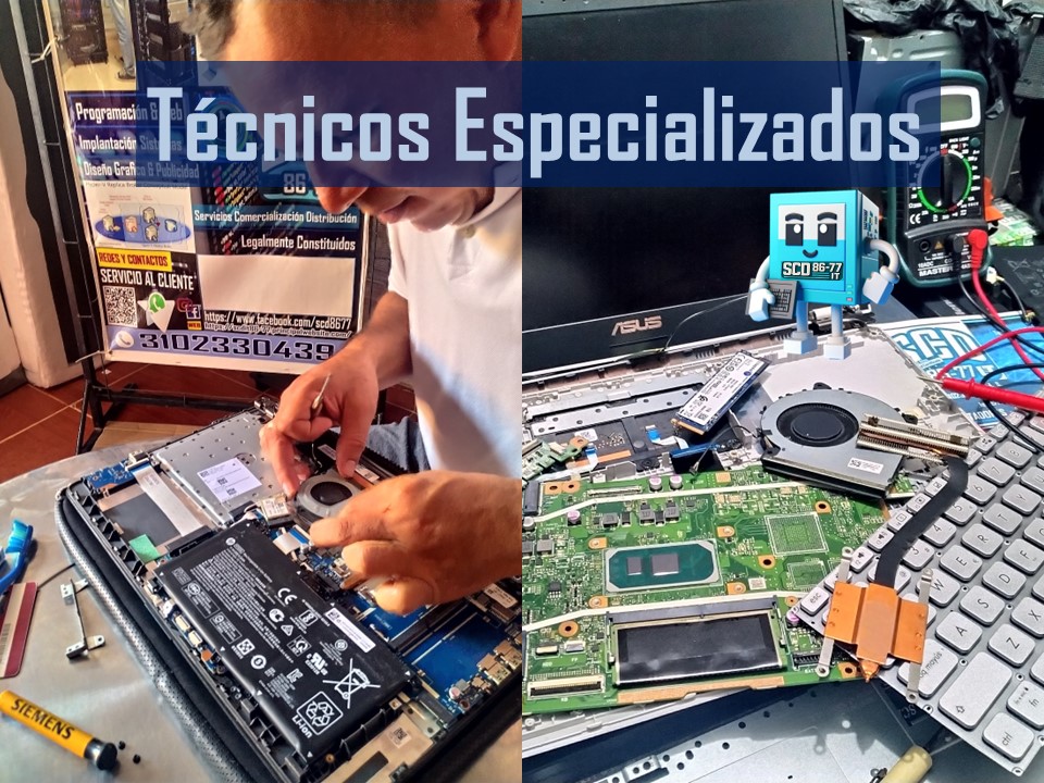 NUESTROS SERVICIOS Image